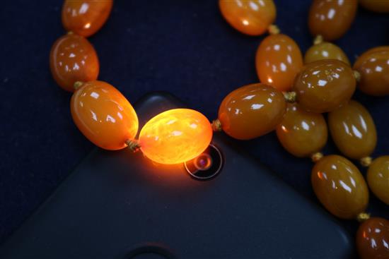 A single strand graduated oval amber bead necklace, gross weight 53 grams, approx. 62cm.